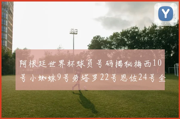 阿根廷世界杯球员号码揭秘梅西10号小蜘蛛9号劳塔罗22号恩佐24号全解析